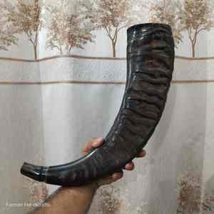 Fabricante de Cuernos Vikingos para Beber Hechos a Medida de la India, Proveedor Mayorista de Cuernos de Búfalo Pulidos para Beber - Product Image 4