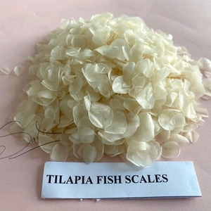 เกล็ดปลาทิลาเปียคุณภาพสูง เกรด A ตากแห้งด้วยแสงแดด สำหรับทำอาหาร - Product Image 1