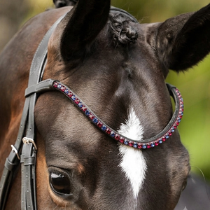 Diadema para caballo de cuero genuino con cristales de vidrio rojos y azules personalizados, con diamantes brillantes, para brida inglesa. - Product Image 1