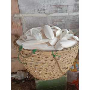 GIA NGUYEN Eco-Friendly Natural Dried Cuttlefish & Squid Bone Bird <b>Feed</b> Economical Bird Supplies From Vietnam - Product Image 2