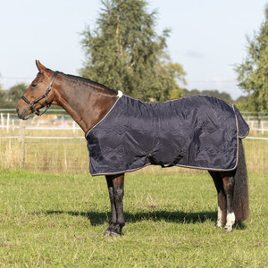 Couverture anti-mouches pour chevaux, en maille respirante légère, pour l'été, col standard, pour l'équitation, fabrication OEM bienvenue - Product Image 1