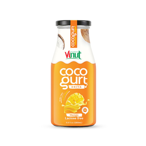 Mango Flavor Cocogurt Drink OEM ODM Private Label Beverage Manufacturer Wholesale Supplier - Product Image 4