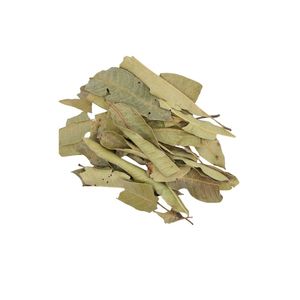 Feuilles de mangue séchées naturelles, thé en vrac pur de mangue, offre spéciale, prix abordable, 5OZ 10OZ 12OZ, emballage personnalisé sous vide de feuilles de mangue - Product Image 5