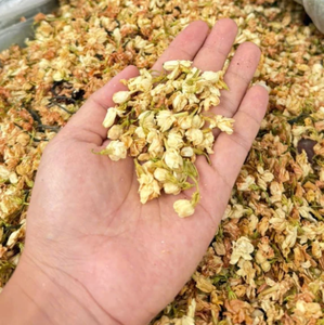 Capullos de Jazmín Secos Estándar de Exportación, 100% Puro y Natural, para la Industria del Té, Suministro de Vietnam - Product Image 5