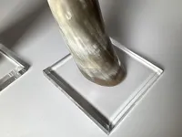 Meilleure pièce décorative en corne de taureau pour la décoration de table et de mur, longue corne de bœuf naturelle, corne de buffle pour la maison, fabriquée en Inde
