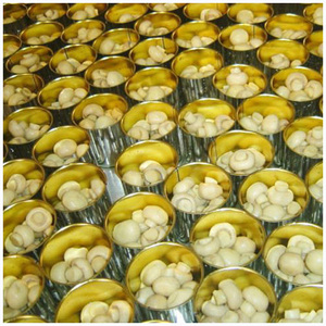 Champiñones enlatados/ Precios al por mayor de champiñones enlatados/ Champiñones en rodajas enlatados - Product Image 1