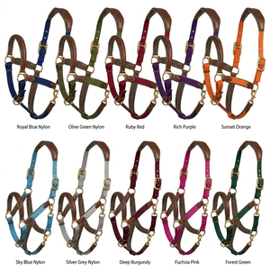 Cabestros para Caballos de 1 Pulgada de Ancho, de Nailon Tejido de Alta Calidad, para Carreras de Resistencia, con Herrajes Metálicos Ajustables - Product Image 2