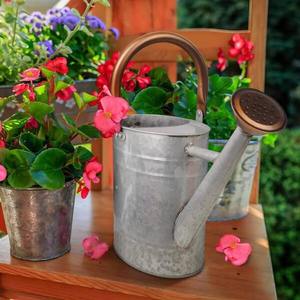Minimalist watering can for modern home indoor outdoor plants long spout <b>controlled</b> pouring ergonomic <b>grip</b> rust resistant - Product Image 4