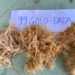 Mousse de mer du Vietnam en gros pour la production de collations saines et l'amélioration de la consistance des produits laitiers sans lait - Product Image 1