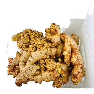 Le Vietnam exporte du jeune gingembre frais nouvelle récolte de gingembre séché pour les acheteurs contact - Product Image 1