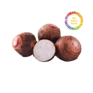 IQF Frozen Shredded Taro Premium Quality Natural White Taro Peeled Strips Wholesale Price from Vietnam Factory - Product Image 4