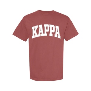Camiseta Universitaria con Letras Bordadas de Estilo Simple y Aspecto Premium, Camisetas de Algodón Premium para Mujeres y Niñas, Nombres de Organizaciones, Fuentes Personalizadas - Product Image 1