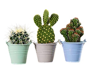 Seau à fleurs de jardin décoratif coloré, conteneur de rangement et objet décoratif coloré - Product Image 2