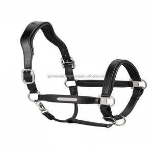 Licol pour cheval en cuir anglais noir confortable et rembourré avec plaque de nom personnalisée sur le mentonnière et quincaillerie argentée - Product Image 4