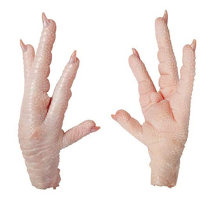 Pattes de poulet congelées en gros, qualité supérieure, processus BQF, durée de conservation de 24 mois, approvisionnement pour l'exportation destiné aux fabricants alimentaires - Product Image 1