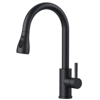 Keran Dapur Stainless Steel 304 Matte Black Grosir
