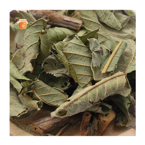 Hojas de guayaba secas de primera calidad envasadas al vacío para mantener la frescura y la potencia durante el envío internacional a larga distancia - Product Image 1