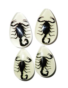 Black Scorpion Real Specimen Plastic Cabochon Pear Cut <b>Top</b> 46x30 mm Glow Flat Bottom for Crafts and Jewelry Making - Product Image 1