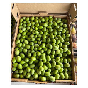 Aceitunas Verdes Frescas Estilo Tropical, Color Natural, Sin Hueso, para Pizza, Ensaladas e Industria de Comida Rápida - Product Image 3