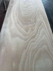 Okume/Bintangor/Styrex Comercial 4x8 WBP para Láminas de 18 mm de Espesor, Marca FOMEX de Primera Clase, Precio Competitivo Moderno E2 para Hoteles - Product Image 3