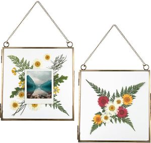 Marco colgante vintage de latón y vidrio de doble cara para especímenes botánicos, decoración de pared para el hogar. - Product Image 5