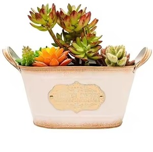 Galvanized Metal Flower <b>Pot</b> With Vintage Pattern Indoor Plant Container <b>For</b> Flower Green Plant Planter <b>Pot</b> - Product Image 3