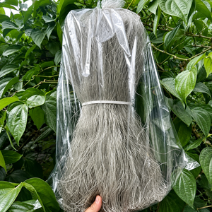 เส้นมันเทศเวียดนามธรรมชาติ / เส้นวีแกนพรีเมียม / บรรจุภัณฑ์แบบยืดหยุ่นและรับผลิตแบรนด์ส่วนตัว / คุณอลีนา - Product Image 1