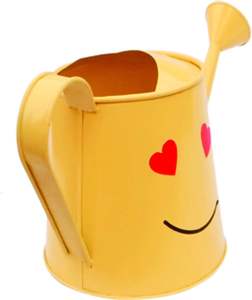 Arrosoir en métal personnalisé avec logo, vente en gros, usine OEM directe, arrosoir de jardin en fer pour plantes d'intérieur et d'extérieur, résistant à la rouille - Product Image 4