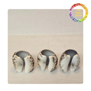 Porta Servilletas Decorativo de Conchas Marinas para Bodas o Fiestas con Temática Costera - Product Image 3