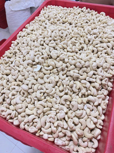 Nueces de Anacardo Crudas Premium de Vietnam, Núcleo Blanco, Larga Vida Útil, WW180 WW240 WW320, Empaque Personalizado a Granel - Product Image 1