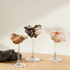 Verre à vin en verre et coquillage marin au design intemporel, idéal pour une utilisation quotidienne de luxe. - Product Image 1