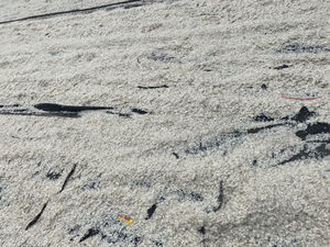 เครื่องชั่ง2024ปลานิลแห้ง100เปอร์เซนต์ - Product Image 6