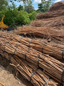 Material duradero y flexible de núcleo de ratán de Venta caliente para muebles y artesanías-LOTO AZUL de Vietnam - Product Image 4