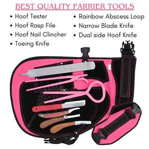 Kit d'outils de fermeur avec tablier, testeur de sabots, pince à sabots, râpe à sabots, couteau à sabots, boucle à abcess, lame étroite et couteau double face - Product Image 3