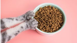 Compléments Alimentaires pour Animaux - Minéraux et Oligo-éléments de Qualité Alimentaire pour une Croissance Saine - Product Image 1