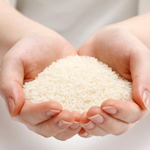 Arroz Japonés - Product Image 3