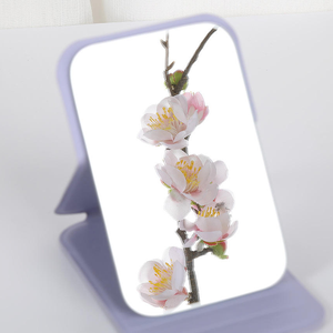 Espejo de Maquillaje Plegable Mini, Espejo Cosmético Personalizado Minimalista de Bolsillo para Escritorio - Product Image 2