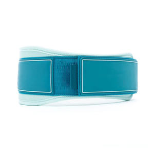 OEM Dip <b>Belt</b> Men Women Custom Logo Gym Weightlifting <b>Chain</b> <b>Belt</b> Supplier - Product Image 2