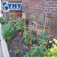 Support décoratif en métal pour plantes grimpantes, roses, fleurs et vignes de jardin