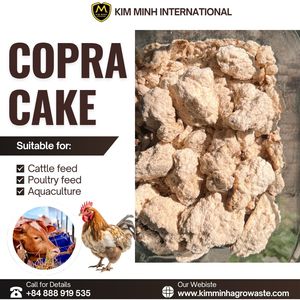 Tortitas de Copra de Alta Calidad para Alimentación Animal - Kim Minh International - Product Image 5