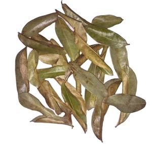 Découvrez les avantages: feuilles de corossol séchées pour un mode de vie plus sain - Product Image 1