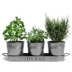 Rustic Galvanized Metal Planter With Rope Handles Flowers And <b>Garden</b> Design For Outdoor Use - Product Image 3