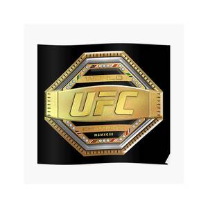 Ceintures de championnat de lutte UFC poids lourd, sangle en cuir véritable, plaques en zinc de 4 mm, taille adulte, 50 pouces - Product Image 3