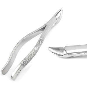 Dental Lower Root Forceps Manual High Quality Stainless Steel CE Certified Extraction <b>Tools</b> - Product Image 4