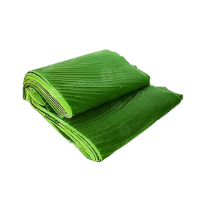 Alta calidad 100% Natural hoja de plátano fresco Vietnam exportación agricultura producto superventas - Product Image 1