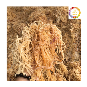 Musgo Marino Orgánico |   Eucheuma Cottonii Seca |   Algas Silvestres |   Precio de Fábrica para Proveedores al por Mayor - Product Image 6