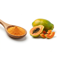 Premium kwaliteit papajapoeder, natuurlijke voedingskwaliteit, groothandel leverancier, fabrikant, exporteur India