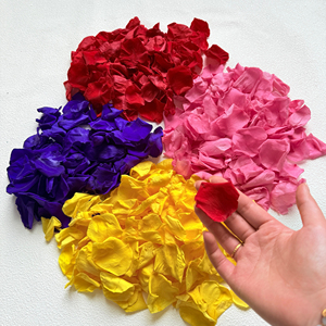 2026 Wholesale High Quality Pure Reasonable Price Customized Packing OEM Service <b>Dried</b> Double Rose <b>Petals</b> Red Rose <b>Petal</b> - Product Image 6