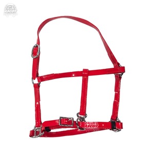 Cabestro de PVC duradero de alta calidad para equitación, brillante, con accesorios de acero inoxidable, precio bajo, venta al por mayor - Product Image 2