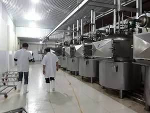 ขนุนขนุนแห้งแบบแช่แข็งจากเวียดนามข้อมูลทองคำ99รายการพร้อมส่งออก - Product Image 5